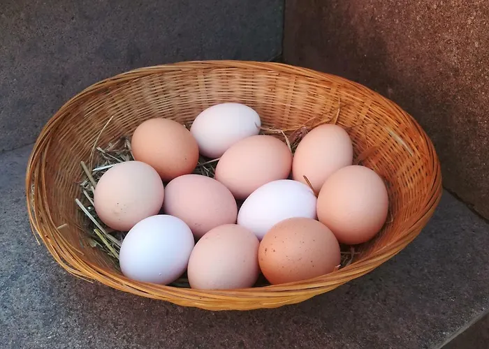 Il Baffetto לינה וארוחת בוקר רומא